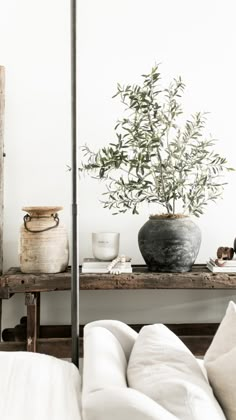 a living room filled with furniture and a potted plant on top of a table