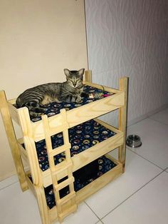 a cat laying on top of a wooden bunk bed in a room with tile flooring