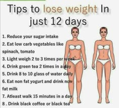 Tips To Lose Weight In Just 12 Days. Resep Diet, Makanan Diet, Weight Workout Plan, Quick Workout, Gymnast, Weights Workout, Lose Belly, Healthy Weight, 12 Days