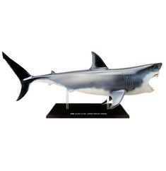 a plastic model of a shark on a black base with a green border around it