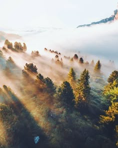 an aerial view of trees and fog in the mountains with sunlight streaming through them on a sunny day