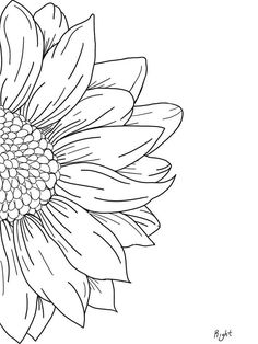 a black and white drawing of a sunflower