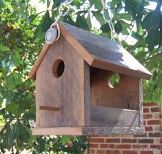 a bird house hanging from a tree branch