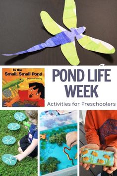 the cover of pond life week activities for preschoolers to do with water and sand