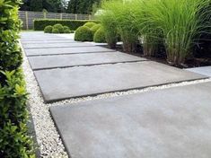 a walkway made out of concrete surrounded by plants