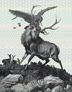 an animal with large horns standing on top of a hill next to rocks and birds