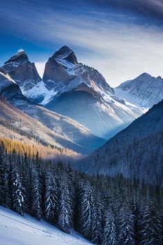 the mountains are covered in snow and trees