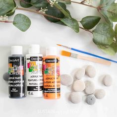 the supplies needed to make diy acrylic paint for rocks and flowers are shown