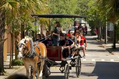 people riding in a horse drawn carriage down the street