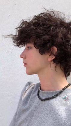 Haircuts For Trans Guys Curly Hair, Short Messy Curly Haircuts, Short Curly Haircuts Masculine, Masculine Curly Haircut, Demiboy Haircuts, Thick Wavy Hair Men, Brown Fluffy Hair, Long Curly Hair Men, Brown Hair Boy