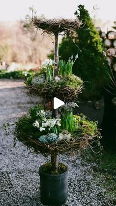 a potted plant with white flowers and greenery on it's top, in front of a gravel driveway