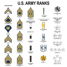 the u s army rank insignias