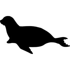 an animal that is silhouetted against a white background with the words sea lion on it