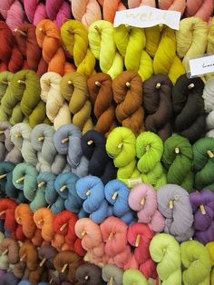 many skeins of yarn are on display for sale