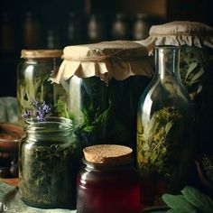 preserving herbs in glass jars Medicine Aesthetic, Bottle Drawing, The Marvels, Naturopathic Medicine, Western Medicine, Healing Space, Herbal Healing, Plant Science, Body Balance