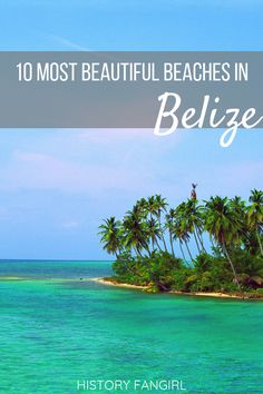 an island with palm trees and the words 10 most beautiful beaches in belizee