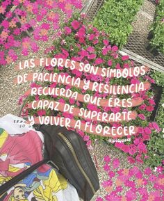 pink flowers and backpacks are on the ground in front of some green plants with spanish words