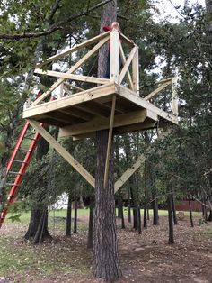 a man standing on top of a wooden tree house