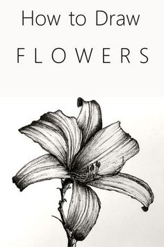 a drawing of a flower with the title how to draw flowers