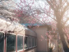 a train passing by a house with pink flowers on it's tree branches in the sun