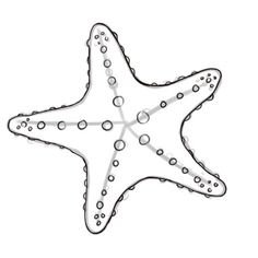 a drawing of a starfish on a white background