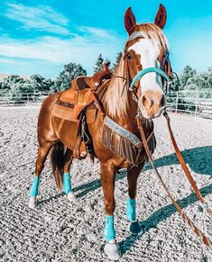 a brown horse standing on top of a dirt field