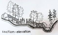 a black and white drawing of a section - elevation with trees, bushes, rocks, and stairs