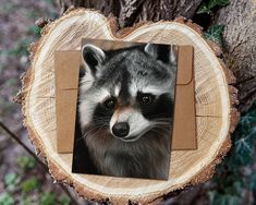 a raccoon is looking at the camera through a piece of cardboard on top of a tree