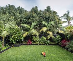 a backyard with lots of trees and plants in it's center, surrounded by lush green grass