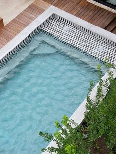 an empty swimming pool surrounded by greenery and wooden decking on top of a building