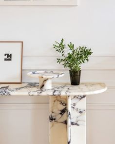 there is a marble table with a plant on it in front of a white wall