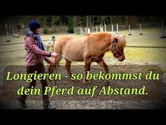 a woman is leading a pony in an enclosure with the words longrenn - so bekommst duin pred aff alsstand