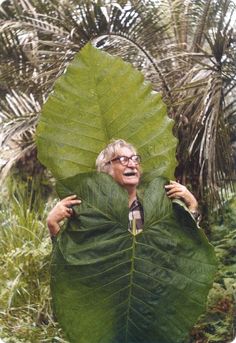 an older woman is hiding behind a large green leaf in the forest with her hands on her hips