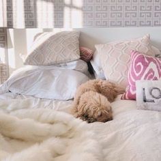 a dog is laying on a bed with pillows and blankets in front of it that have the word love written on them