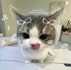 a cat sitting on top of a bed with its tongue out and eyes wide open