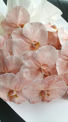 some pink flowers are laying on the table