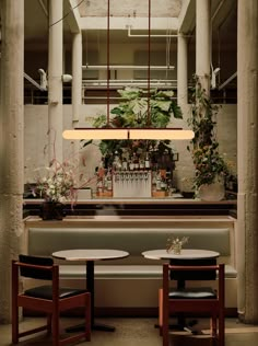 the bar is decorated with potted plants and hanging lights above it, along with two stools