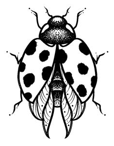 a black and white drawing of a lady bug with spots on it's body