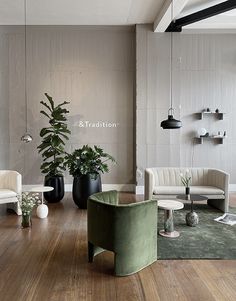 a living room filled with furniture and plants