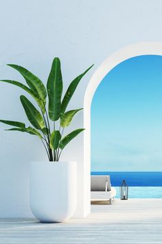 there is a potted plant in front of an open window on the beach side