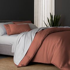 Clay Complete Bedding Set, Innovative Materials, Affordable Bedding, White Comforter, Bedroom Retreat, Sheet Sets Full, Bedding Stores, Twin Sheet Sets, Stylish Bedroom