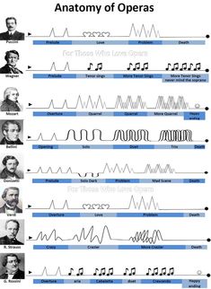 an image of the anatomy of operas