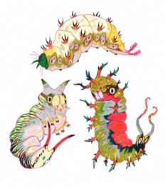 three different types of dragon like animals on a white background