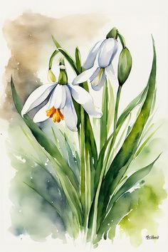 watercolor painting of three white flowers with green stems and yellow stamens in the foreground