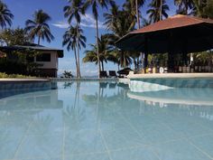 an empty swimming pool surrounded by palm trees