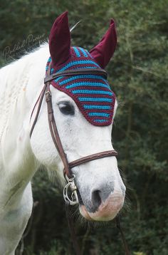 a white horse wearing a blue and red hat