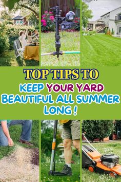 the top tips to keep your yard beautiful all summer long, including lawn mowers