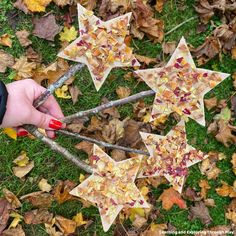 someone is holding scissors to cut stars out of the leaves on the ground with their fingers