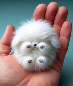 a hand holding a small white furry animal in it's palm with paw prints