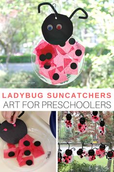 ladybug suncathers art for preschoolers to make with paper and glue